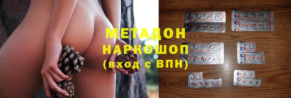 шишки Алзамай