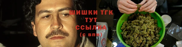 шишки Алзамай