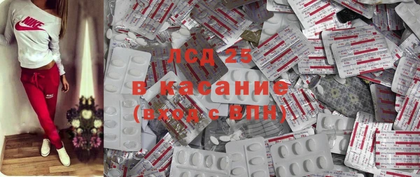 шишки Алзамай