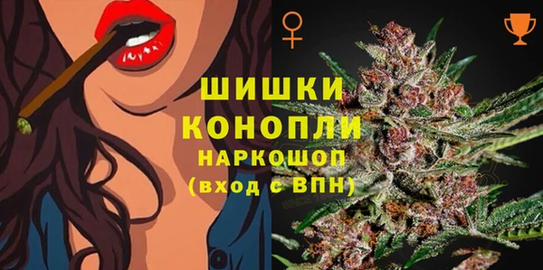 сатива Алексин